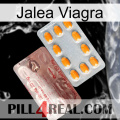 Viagra Jelly new13